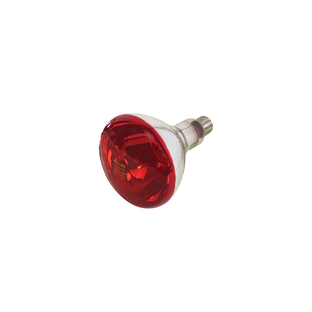 New-Lamp-Infrared