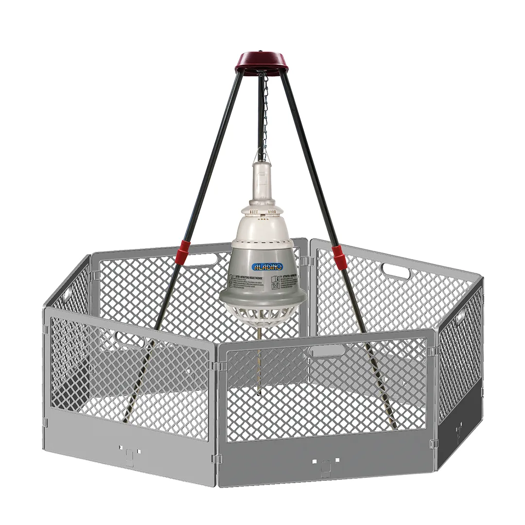 Novital Kit per svezzamento pulcini