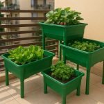 Orto sul balcone facile con Orto&Orto