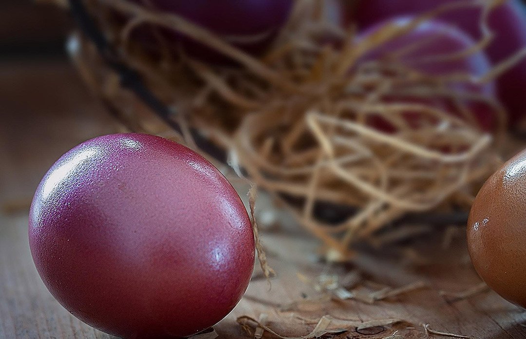 uova di Marans